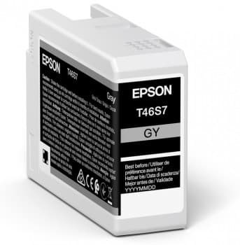 EPSON EPSON Singlepack Gray T46S7 4873841