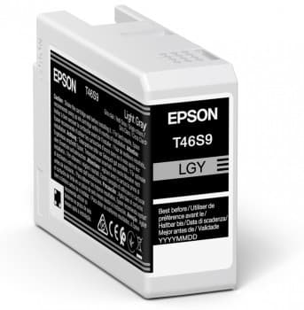 EPSON EPSON Singlepack Light Gray T46S9 4873843