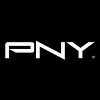 PNY PNY SSD CS900 SATA 25 500GB 5740480