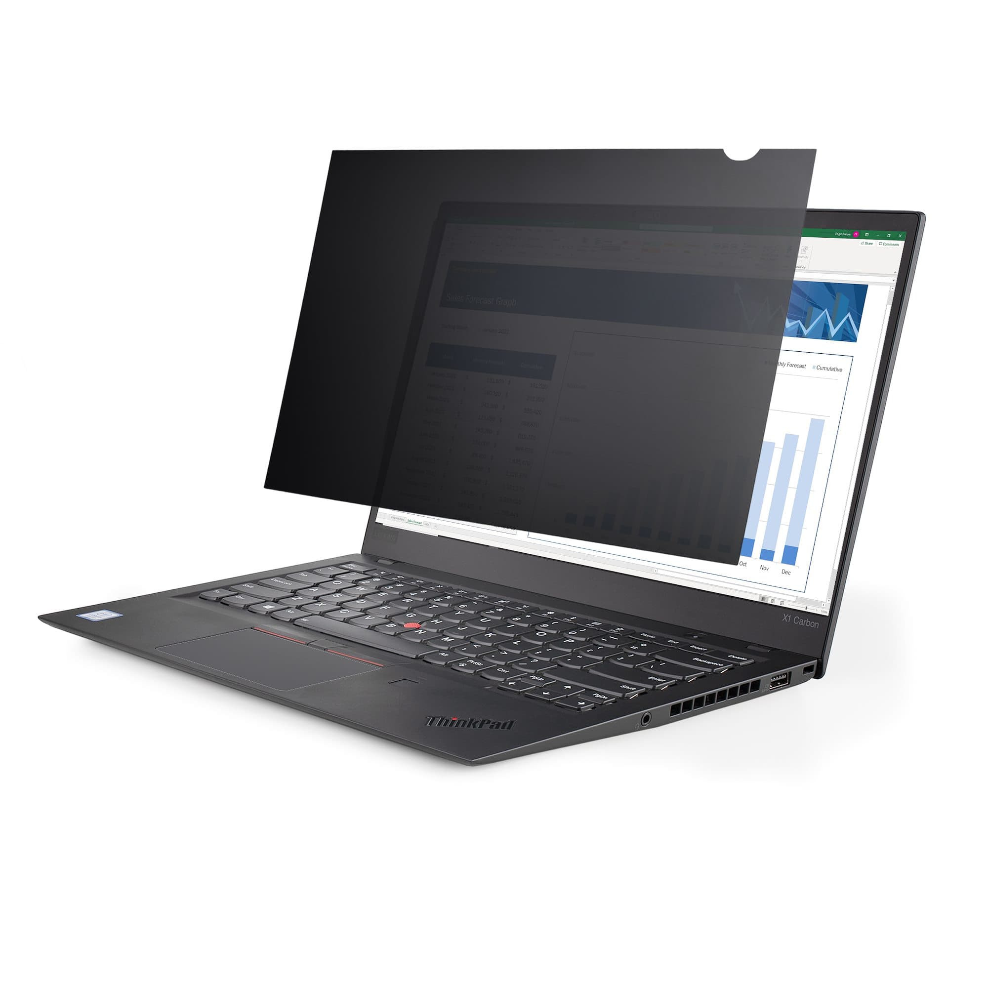 StarTech.com StarTech.com 17.3 Laptop Privacy Filter Anti-Glare 5892810
