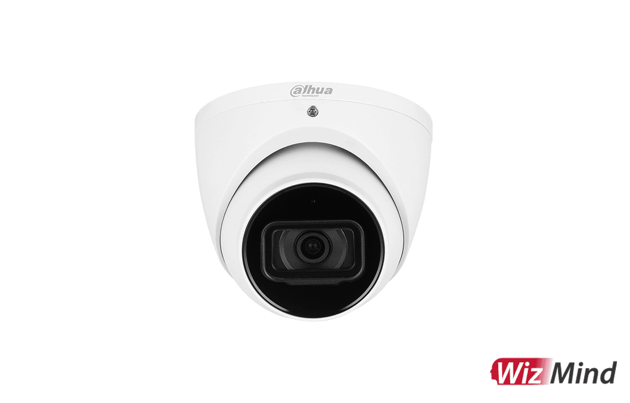 Dahua 5MP IR Fixed-focal Eyeball WizMind Network Camera DH-IPC-HDW5541EMP-ASE-S3