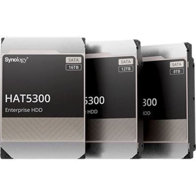 Synology Synology 12TB Enterprise NAS HDD HAT5300-12T