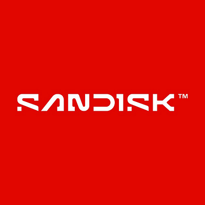 SanDisk Ethernet Cables