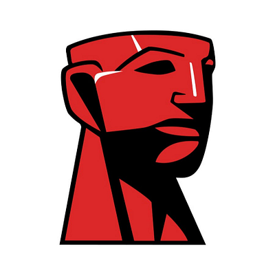 KINGSTON Storage Media