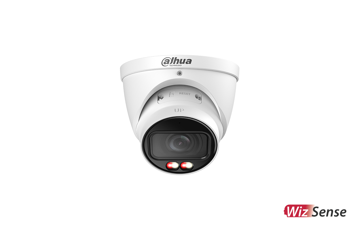 Dahua IP Cameras