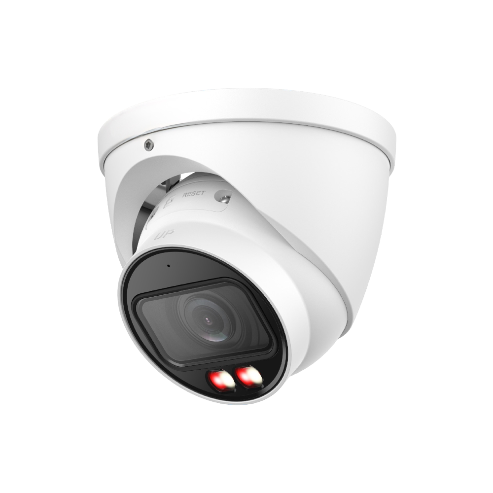 Dahua IP Cameras