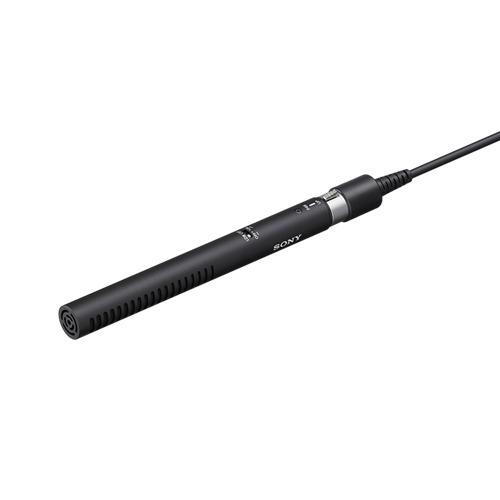 Sony Headsets
