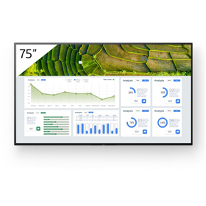 Sony Bravia Video Conferencing